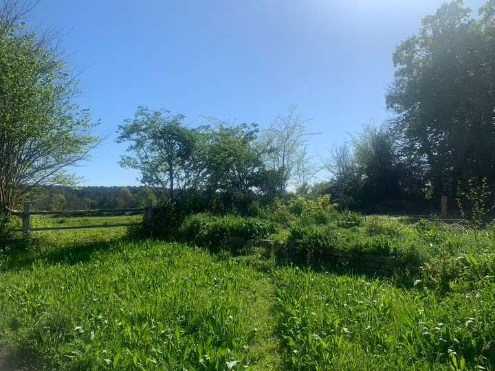 Les prairies et leurs haies boisées